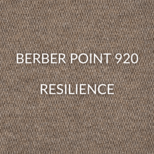 Berber point 920 - resilience-min